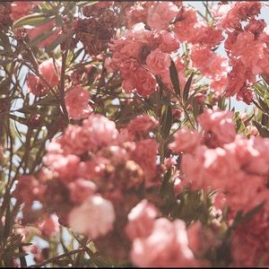 Meet your Posher, Uyen